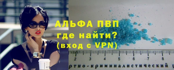 мдпв Елабуга