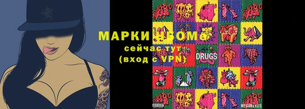 мдпв Елабуга