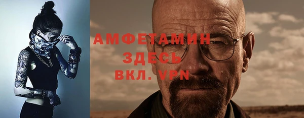 мдпв Елабуга