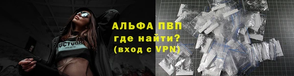 мяу мяу мука Ельня