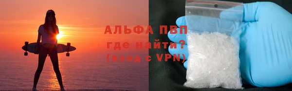 мяу мяу мука Ельня