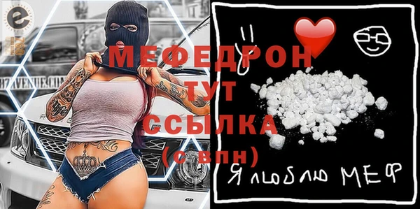 мдпв Елабуга