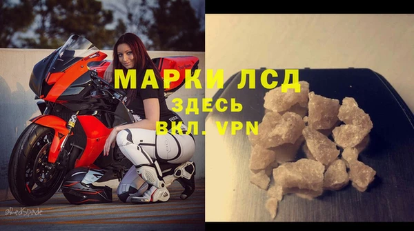 ПСИЛОЦИБИНОВЫЕ ГРИБЫ Елизово