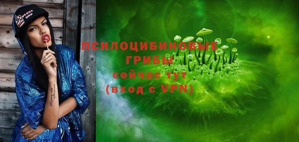 ПСИЛОЦИБИНОВЫЕ ГРИБЫ Елизово
