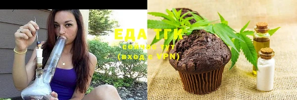мдпв Елабуга