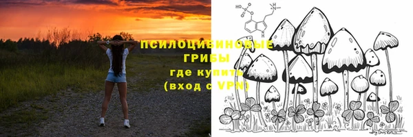 мдпв Елабуга