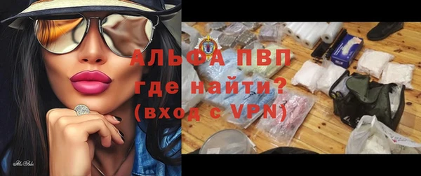 мдпв Елабуга