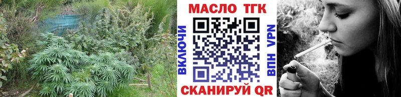 ТГК Wax  Купить  Заволжье 