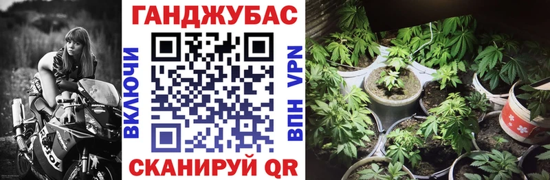 Купить где  Заволжье  Марихуана AK-47 